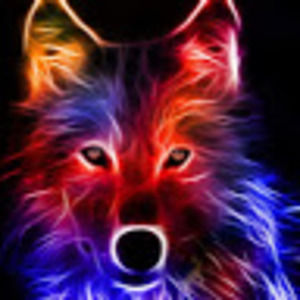 Meet your Posher, Mason